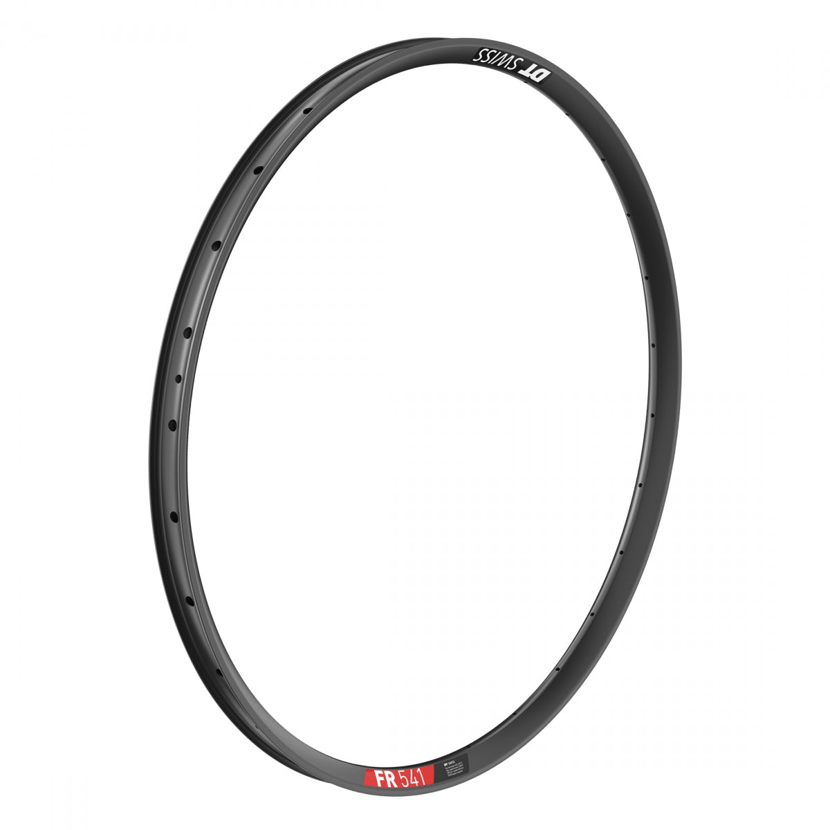 DT SWISS RIM DT 29 622x30 FR541 32 BK DISC TBLS - DT SWISS