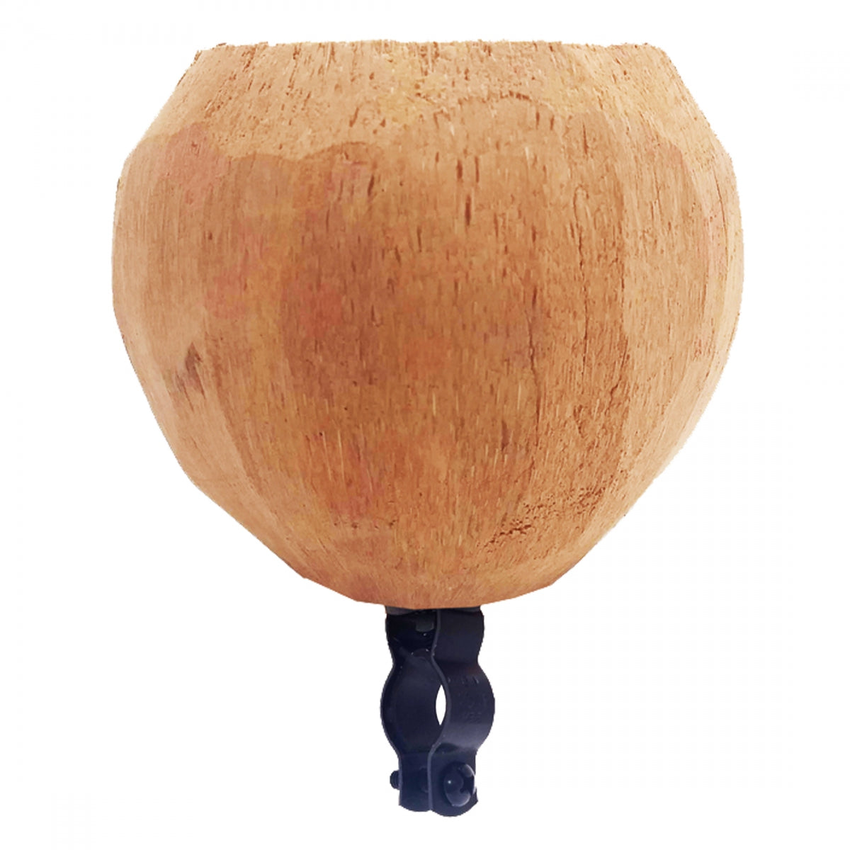 CRUISER CANDY DRINK HOLDER C-CANDY COCONUT CUP NO FACE - CRUISER CANDY