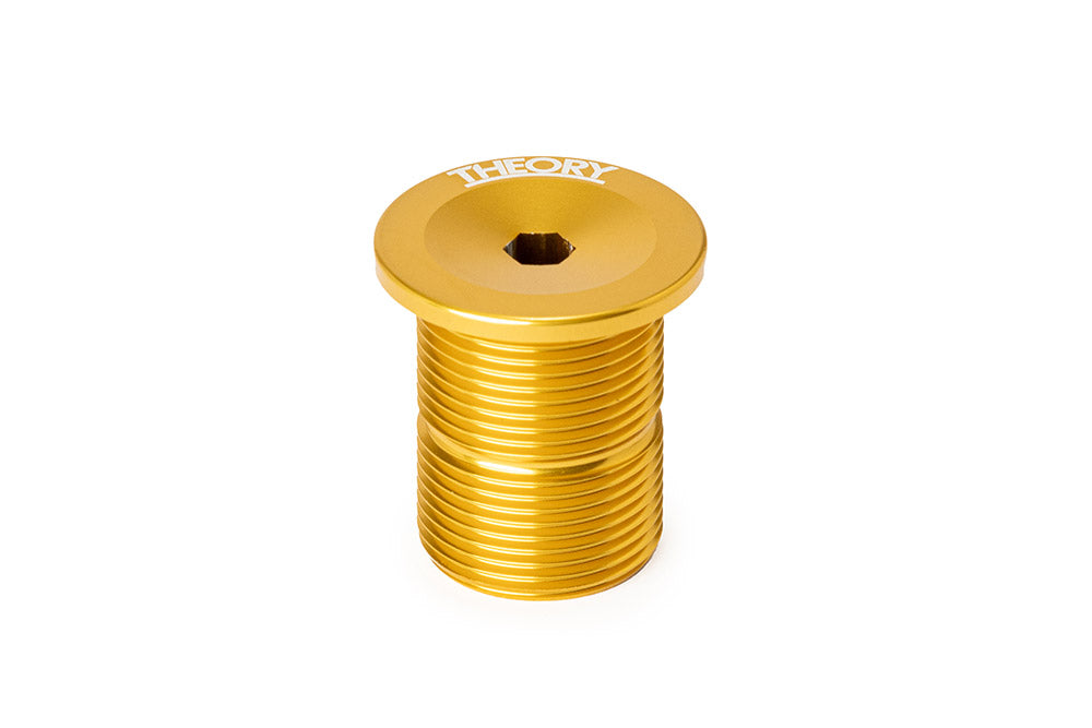 THEORY FORK TOP CAP BOLT available at 5150bmx.com