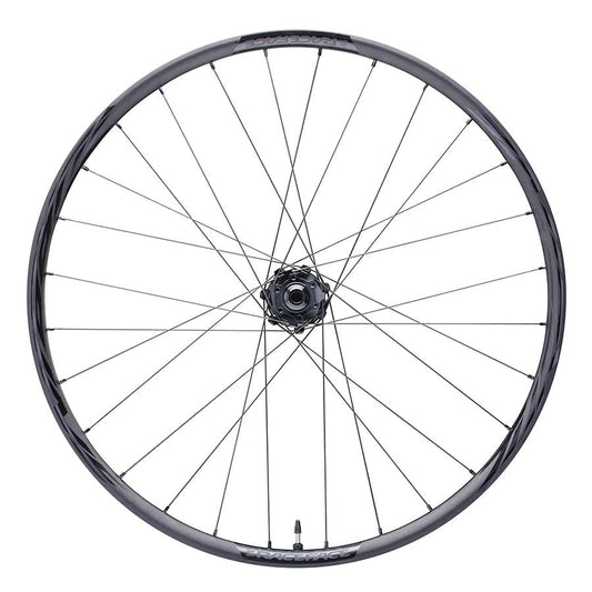 Front, 29'' / 622, Holes: F: 24, 15mm TA, 110mm Boost, Disc IS 6-bolt