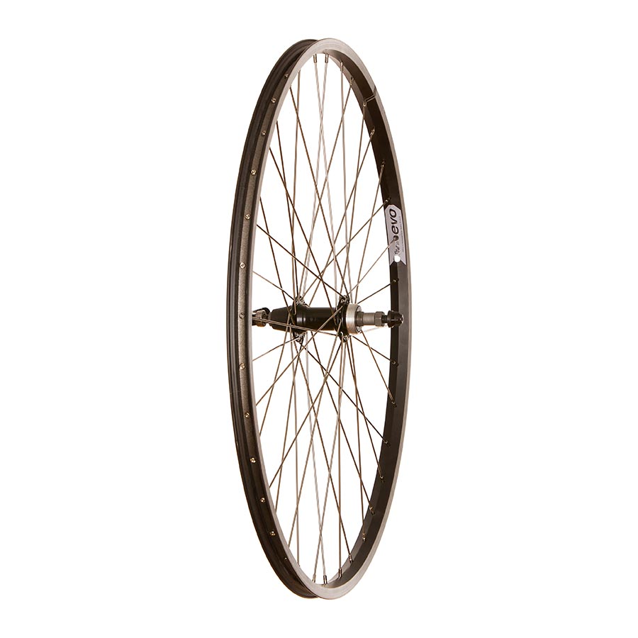 Rear, 700C / 622, Holes: 36, QR, 135mm, Rim, Freewheel