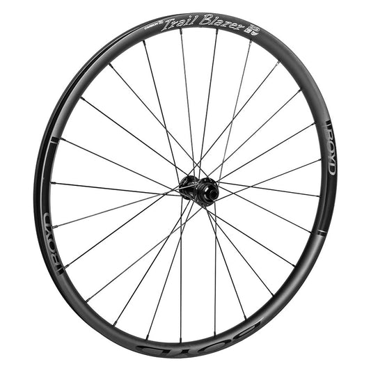 Front, 29'' / 622, Holes: 24, 15mm TA, 110mm, Disc