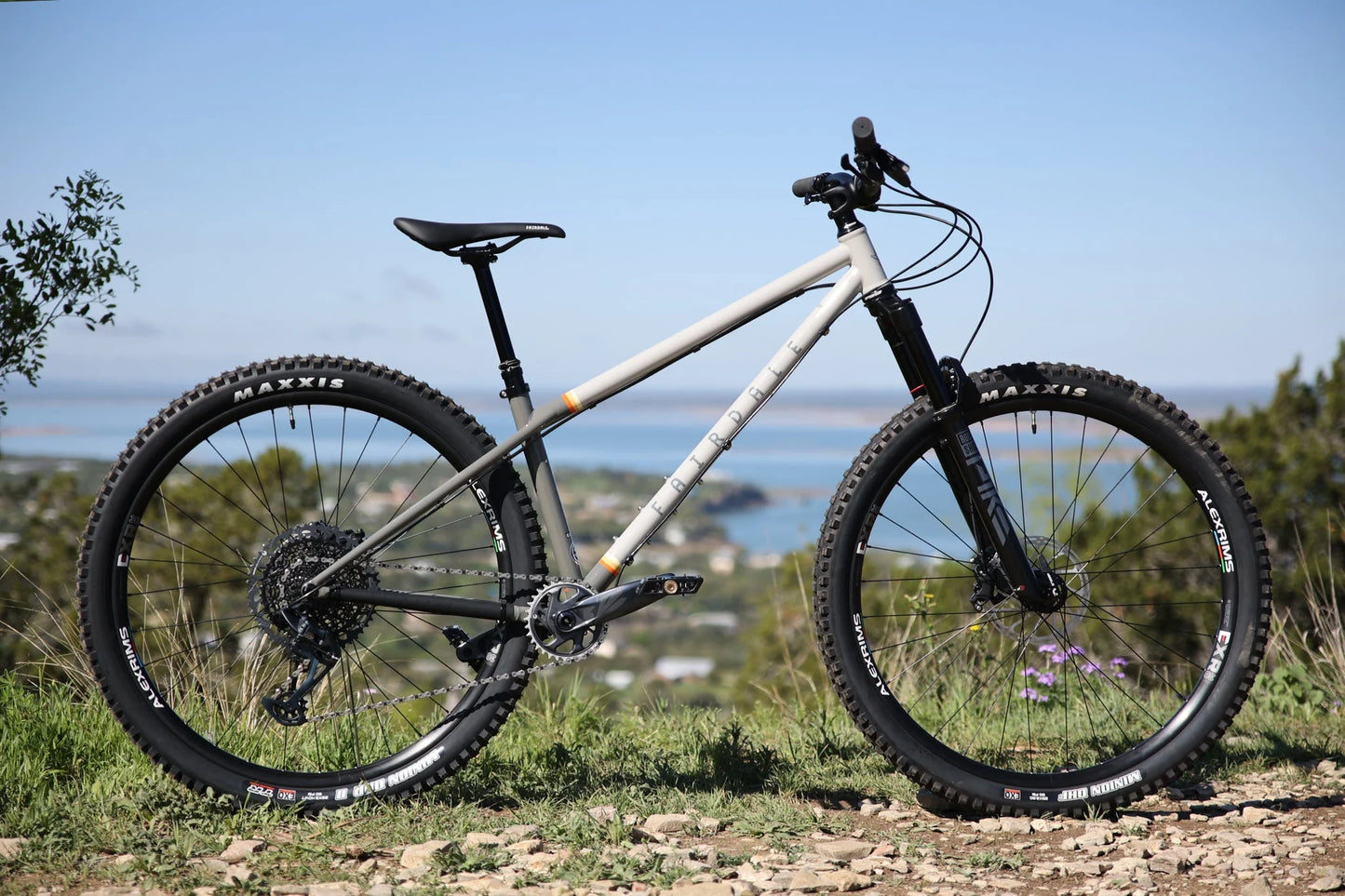 Fairdale Elevator 29" Hardtail MTB (Gloss Battleship Gray)