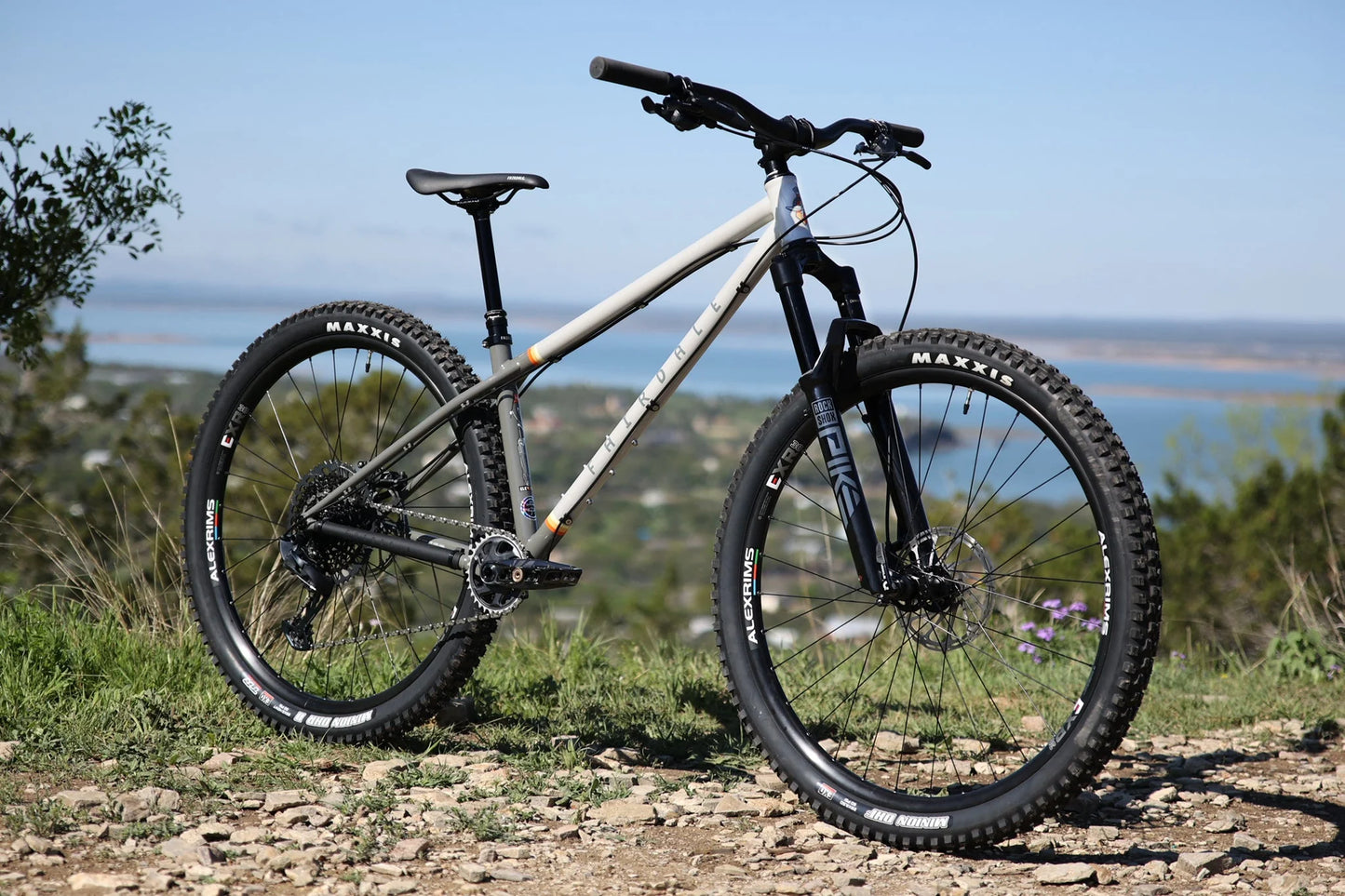 Fairdale Elevator 29" Hardtail MTB (Gloss Battleship Gray)