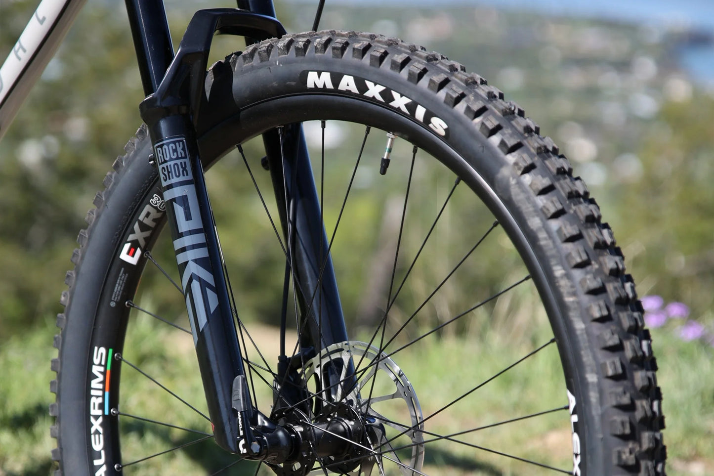 Fairdale Elevator 29" Hardtail MTB (Gloss Battleship Gray)