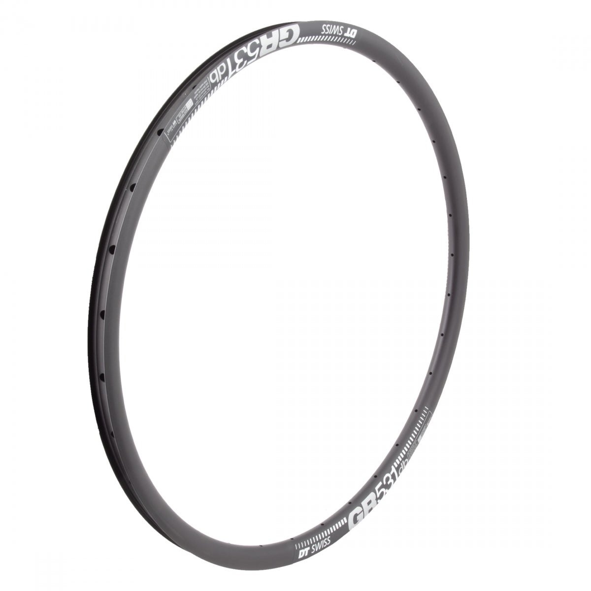 DT SWISS RIM DT 700C 622x24 GR531 32 BK/DISC PV - DT SWISS