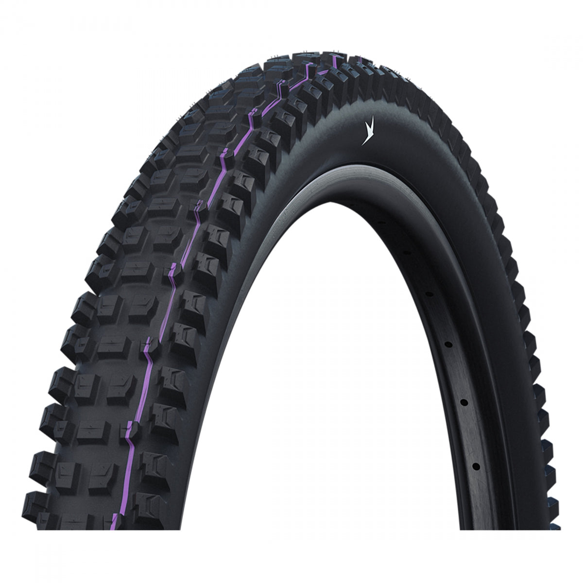 SCHWALBE TIRE SWB ALBERT 29x2.5 EVO TRAIL PRO RADIAL BK/BSK ADDIX U-SOFront TLR E50 FOLD - SCHWALBE