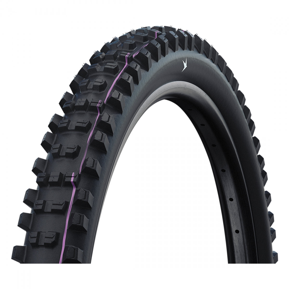 SCHWALBE TIRE SWB SHREDDA Rear 29x2.5 EVO GRAVITY PRO RADIAL BK/BSK ADDIX U-SOFront TLR E50 FOLD - SCHWALBE