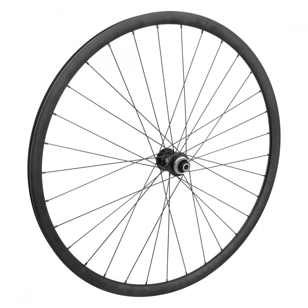 WHEEL MASTER WHL Front 700 622x21 OR8 RD2125 BK DISC 32OR8 RD1120.2 CL 12mm SEAL BK 100mm SS2.0BK - WHEEL MASTER