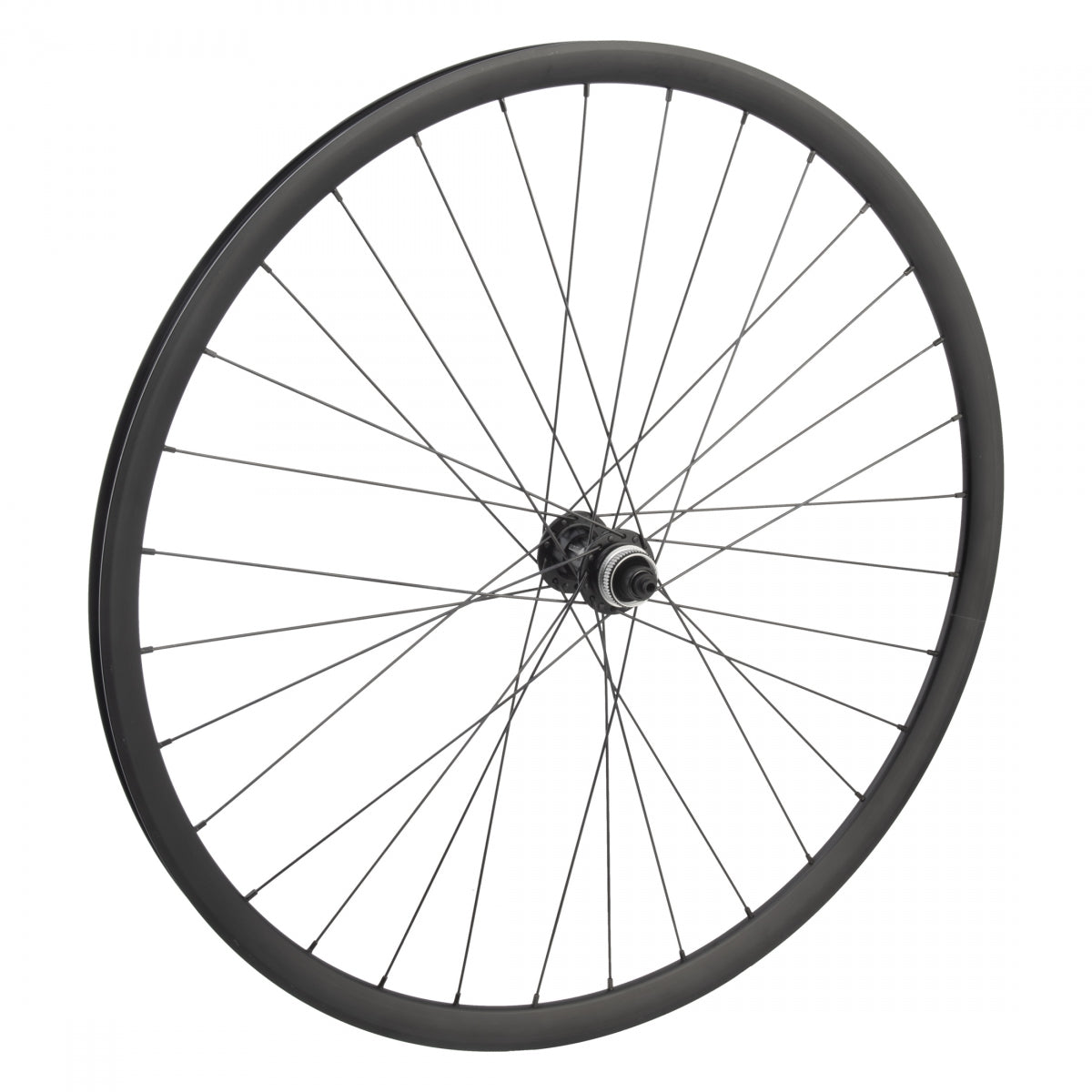 WHEEL MASTER WHL Front 700 622x21 OR8 RD2125 BK DISC 32 OR8 RD1120.2 CL QR SEAL BK 100mm SS2.0BK - WHEEL MASTER