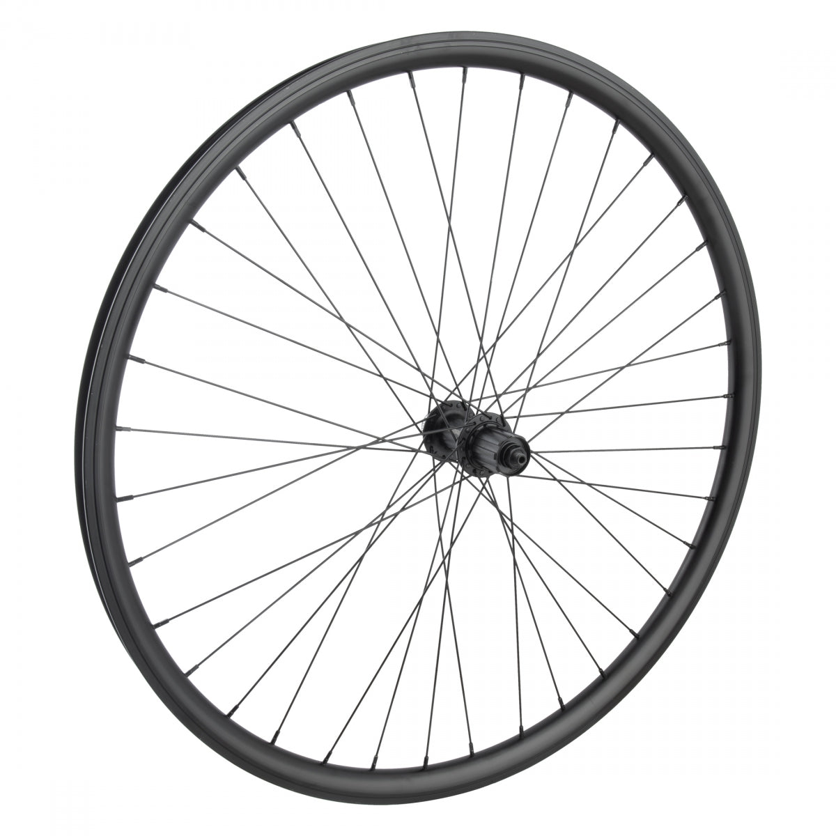 WHEEL MASTER WHL Rear 700 622x25 WM J25SG BK MSW 36 SHI TX505 8-10sCAS CL w/6B ADAPTOR QR BK 135mm 14gBK - WHEEL MASTER