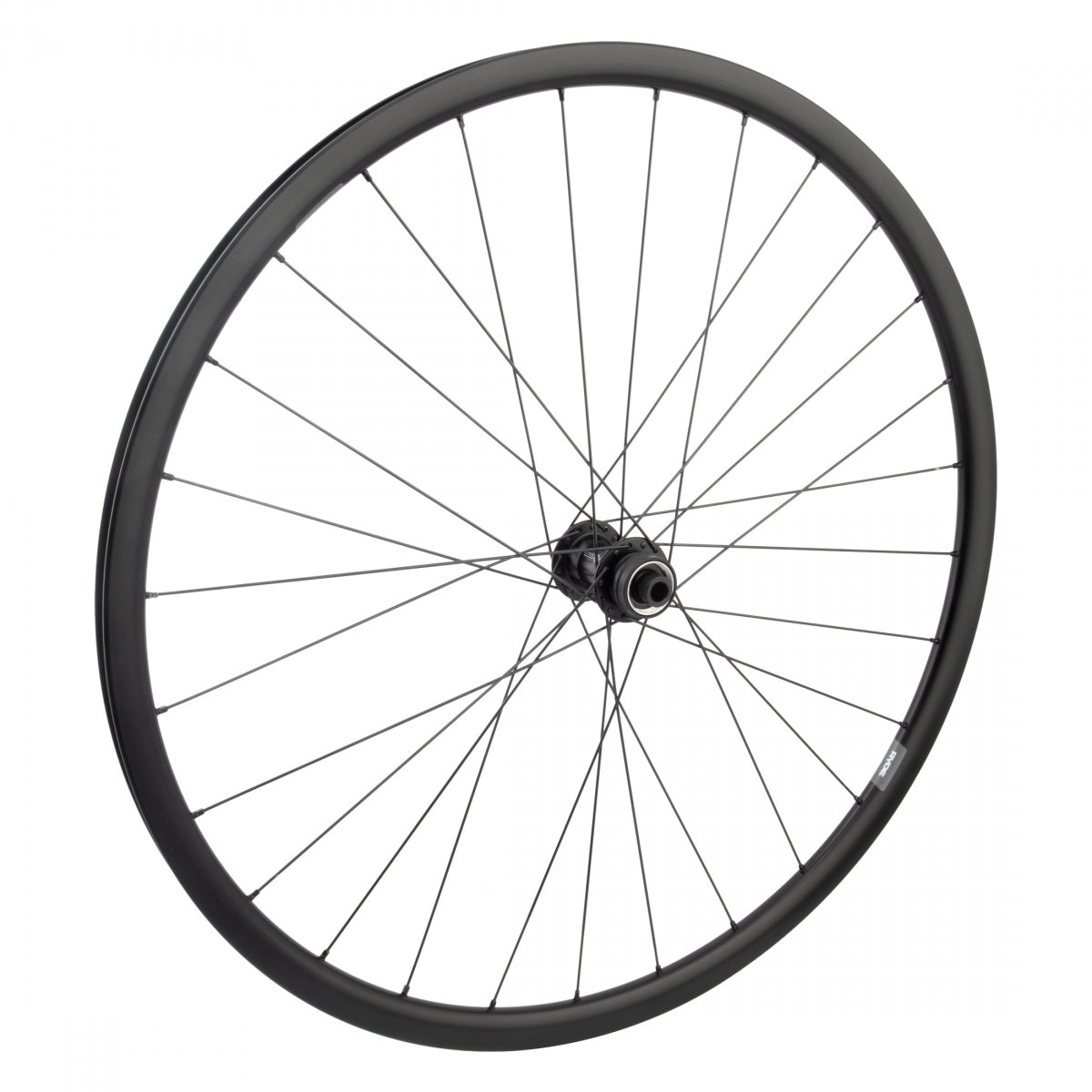 WHEEL MASTER WHL Front 700 622x19 RYDE DP19 BK DISC 28 OR8 RD1120 CL 12mm SEAL BK 100mm SS 2.0 BK - WHEEL MASTER