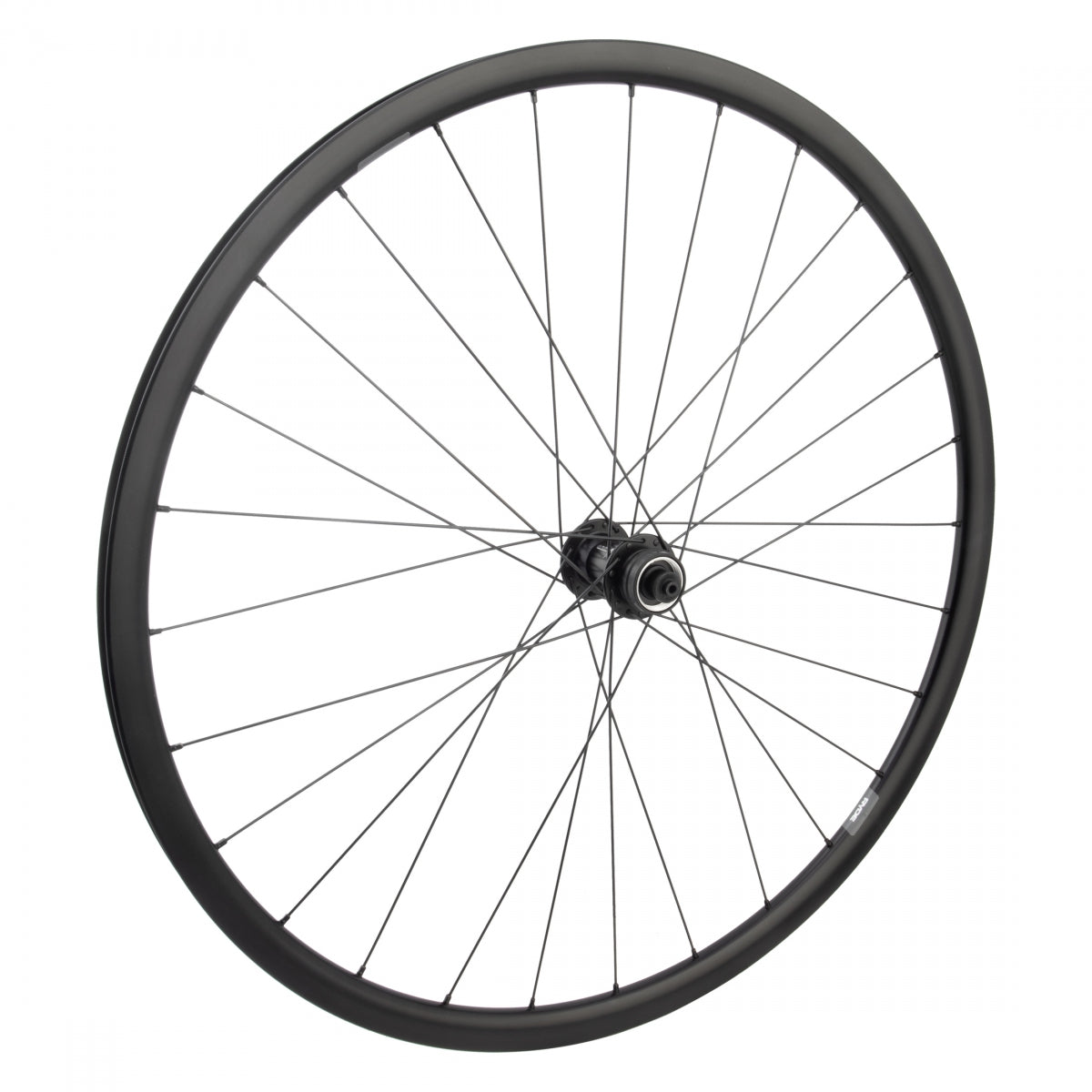 WHEEL MASTER WHL Front 700 622x19 RYDE DP18 BK DISC 28 OR8 RD1120 CL QR SEAL BK 100mm SS 2.0 BK - WHEEL MASTER