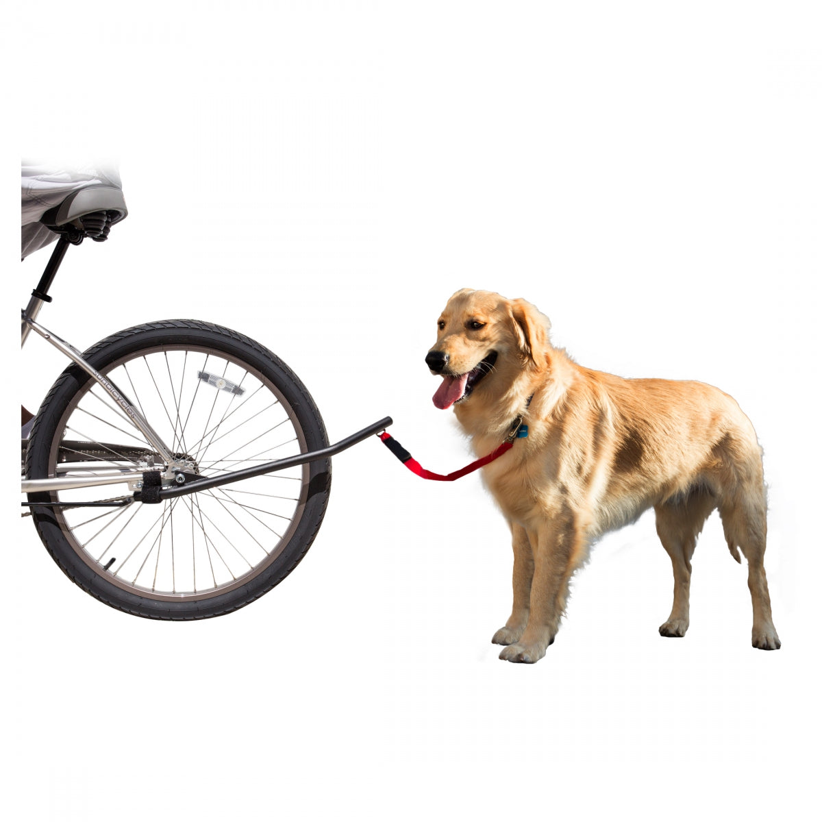 SUNLITE DOG LEASH SUNLT - SUNLITE