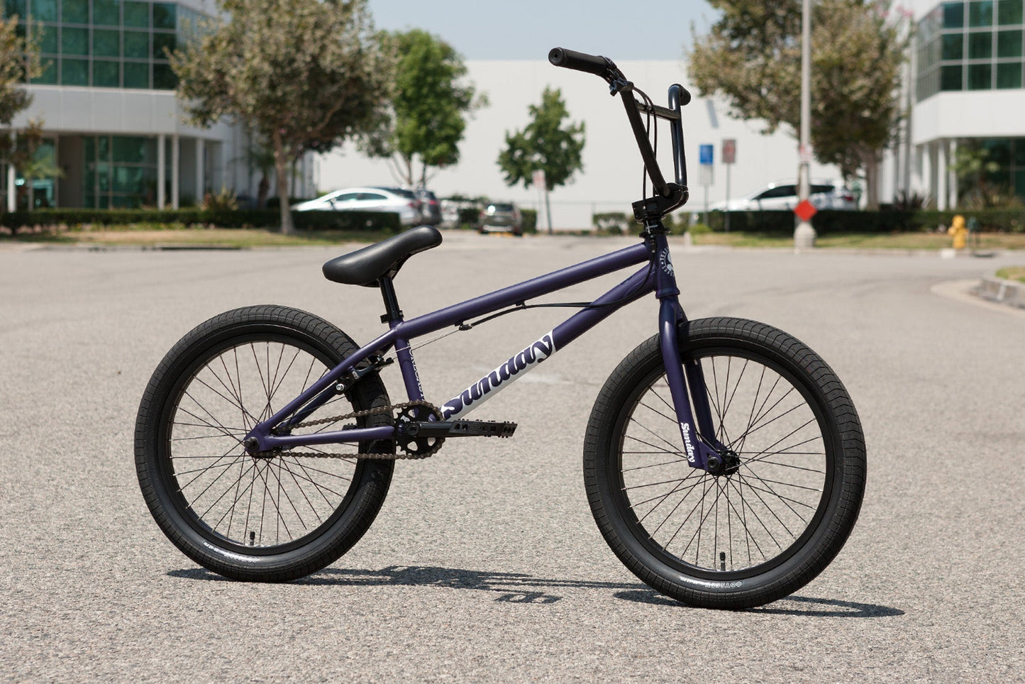 2023 Sunday Forecaster Park - Maca Perez Grasset Signature (Matte Midnight Purple with 20.5" tt)