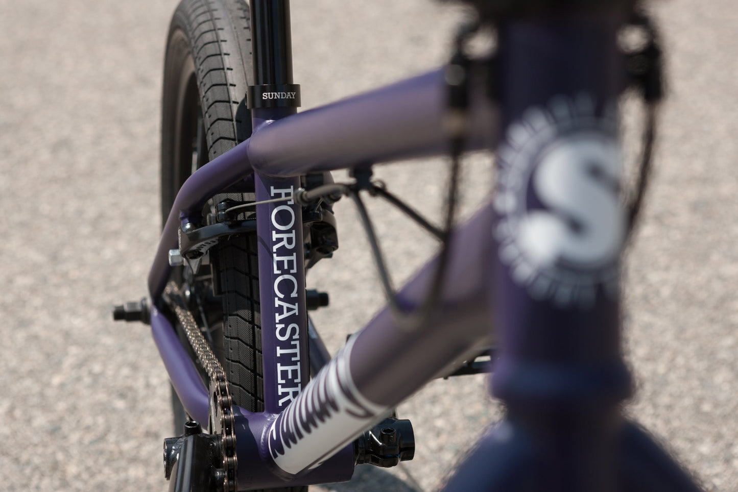 2023 Sunday Forecaster Park - Maca Perez Grasset Signature (Matte Midnight Purple with 20.5" tt)