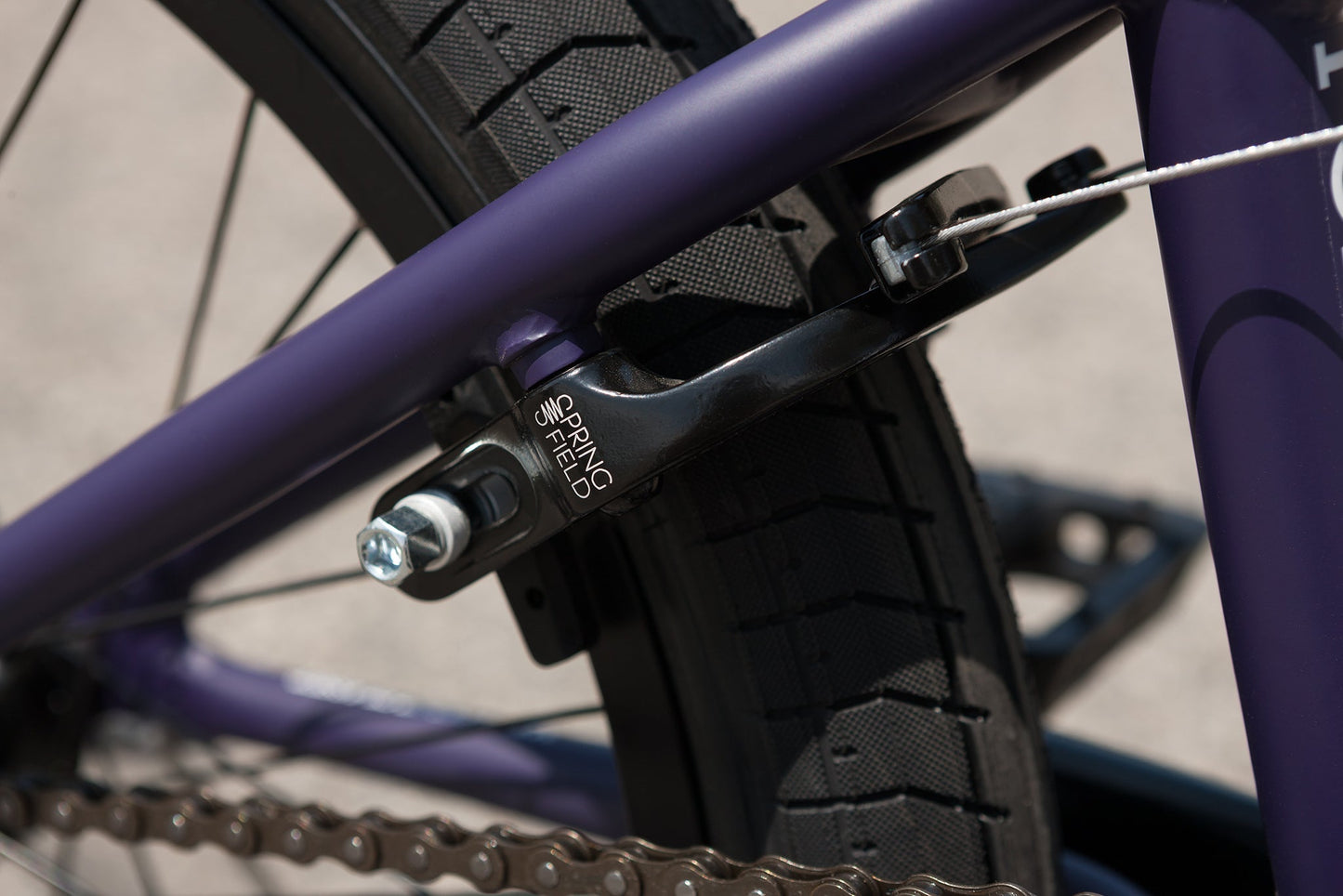 2023 Sunday Forecaster Park - Maca Perez Grasset Signature (Matte Midnight Purple with 20.5" tt)