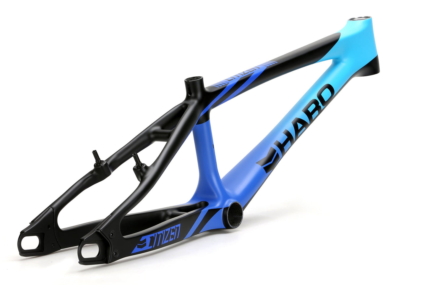 Citizen Carbon Frame